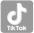 tiktok logo